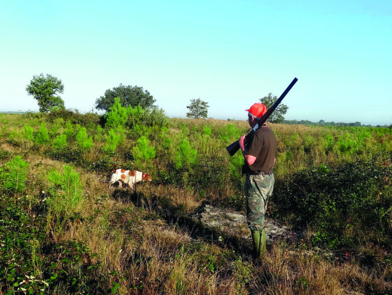 plombs de chasse : la grande vadrouille