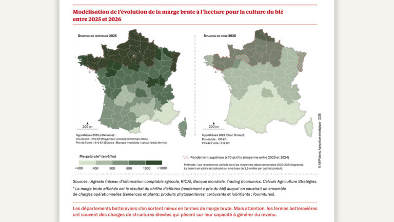 la rentabilité du blé dégringole