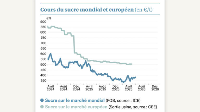 sucre : on s’ennuie un peu…