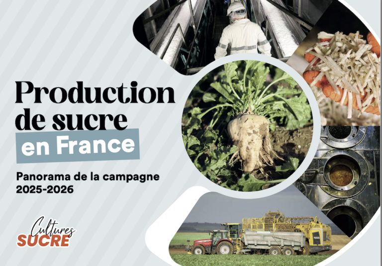 Tous les chiffres sur le sucre et la betterave