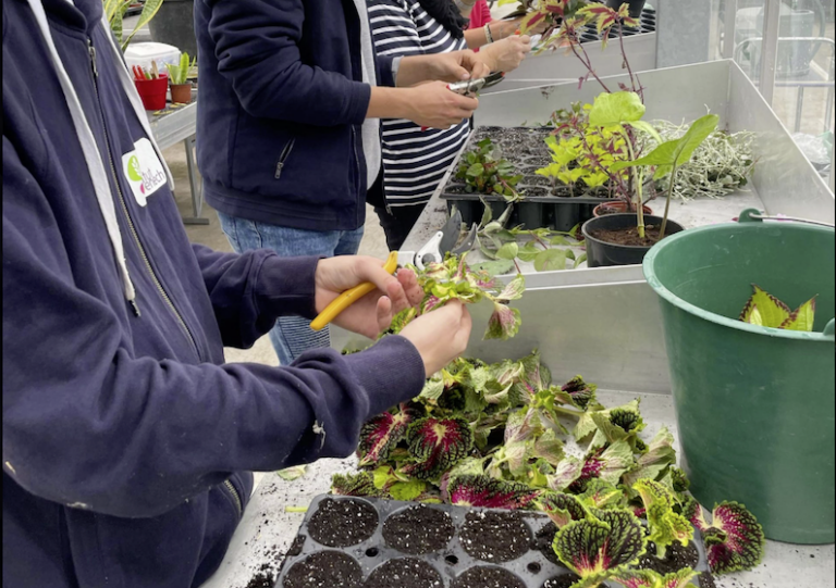parcoursup : 3 300 places encore disponibles en bts agricoles et écoles d’ingénieurs
