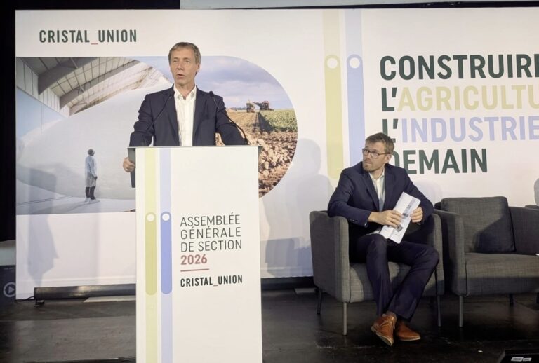 betterave : la campagne 2025 redonne des couleurs aux planteurs