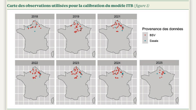 l’itb poursuit le développement de son outil de prédiction de la cercosporiose