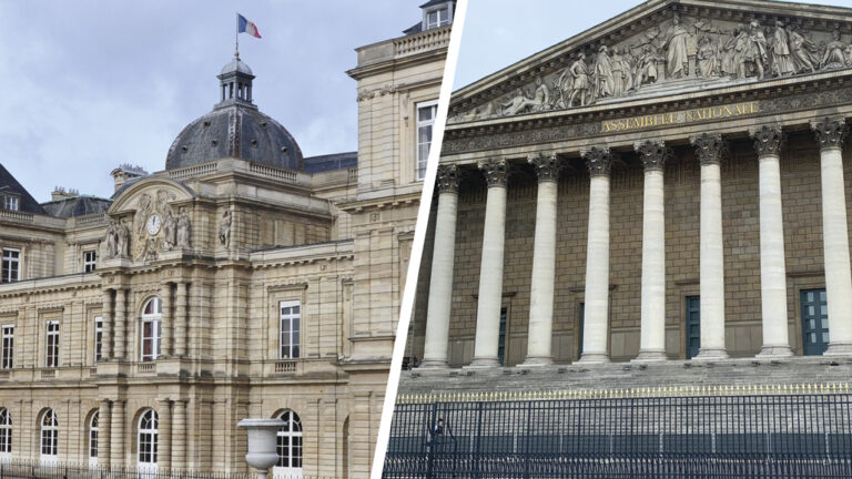 l’utilisation de la flupyradifurone pour les betteraves validée par la commission mixte paritaire