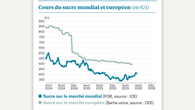 sucre : le cours mondial reprend quelques couleurs