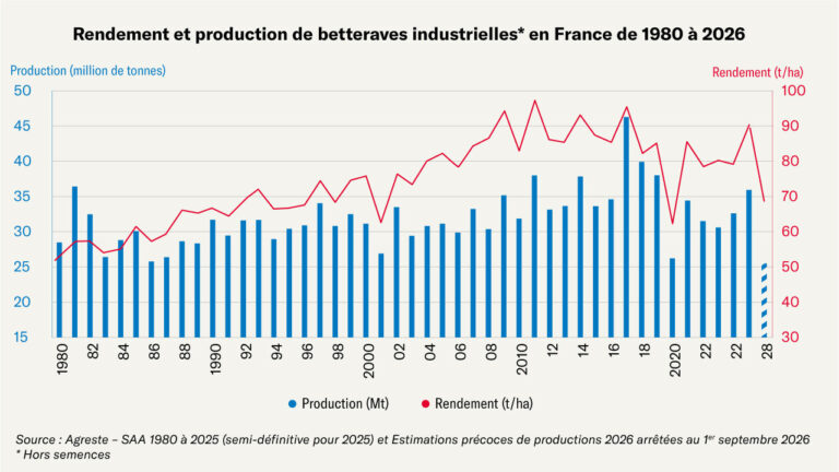 on s'achemine vers une production de betteraves au plus bas depuis 1980