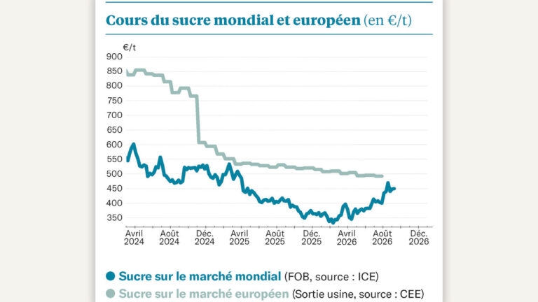El Niño pousse les spéculateurs à l’achat