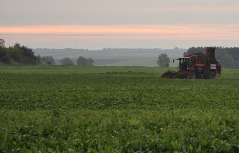 deux sucreries vont fermer au danemark et au royaume-uni