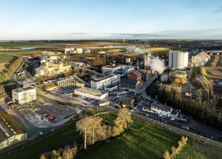 cristal union s’organise pour s’adapter à des rendements attendus en baisse de 25 %