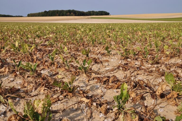 plus de 30 000 fermes en attente « urgente d’une aide forte »