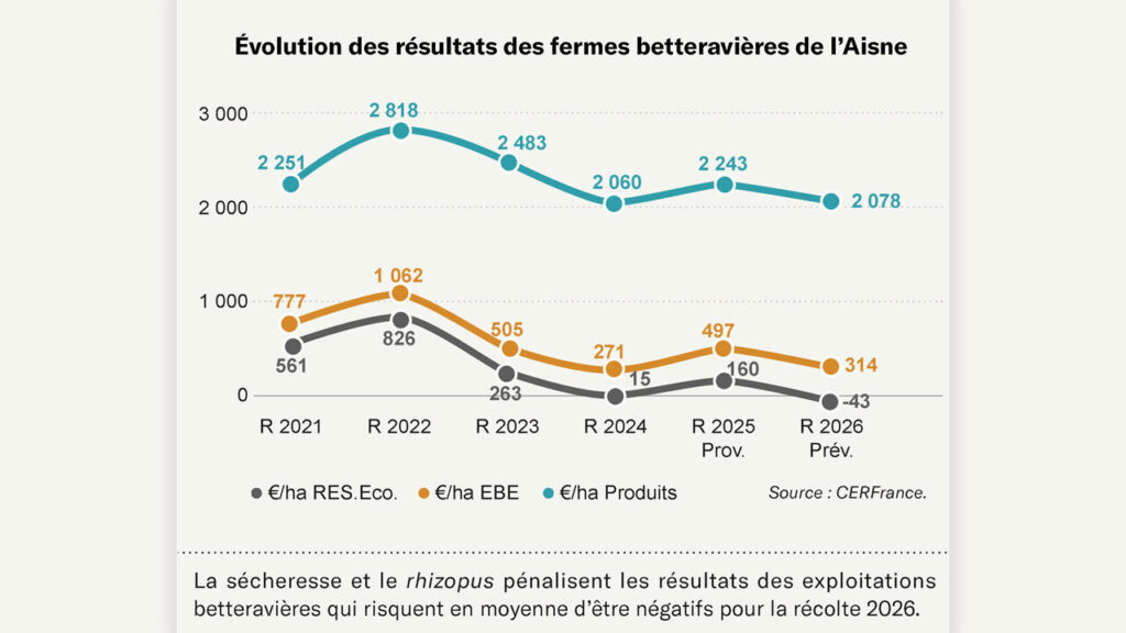 Le faible rendement betteravier entraîne les revenus dans le rouge