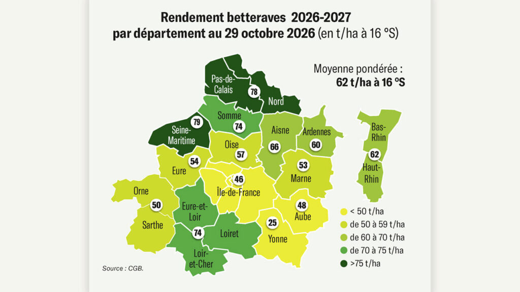 Plus de 40 % des betteraves arrachées fin octobre