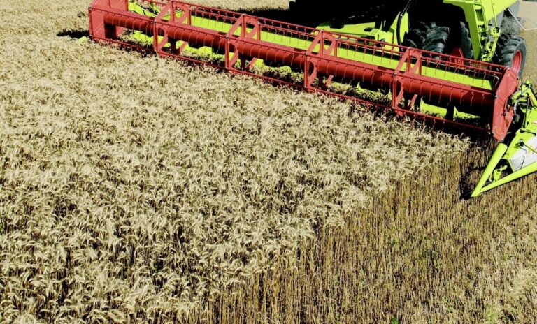Conflit russo-ukrainien : des impacts en escadrilles sur les céréales